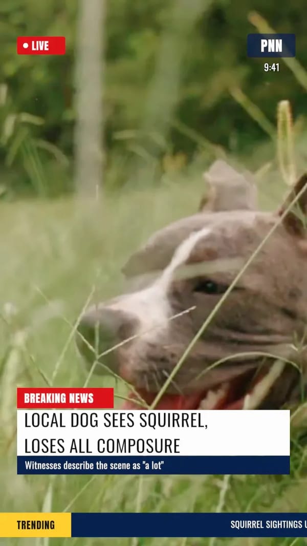 Pet Breaking News