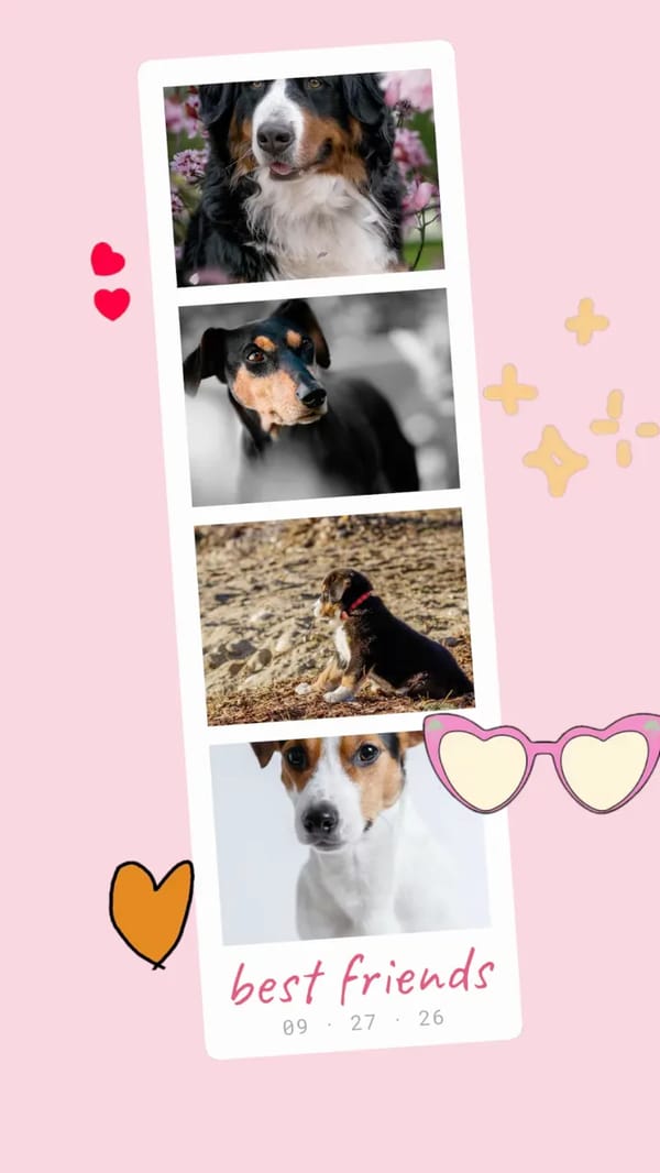 Pet Photo Booth