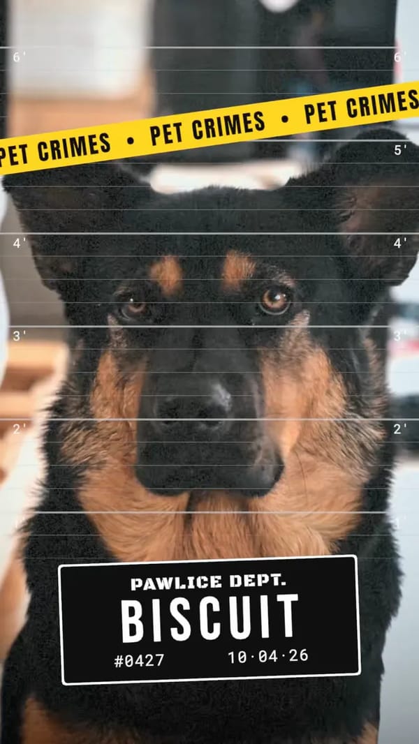 Pet Mugshot: Crime File