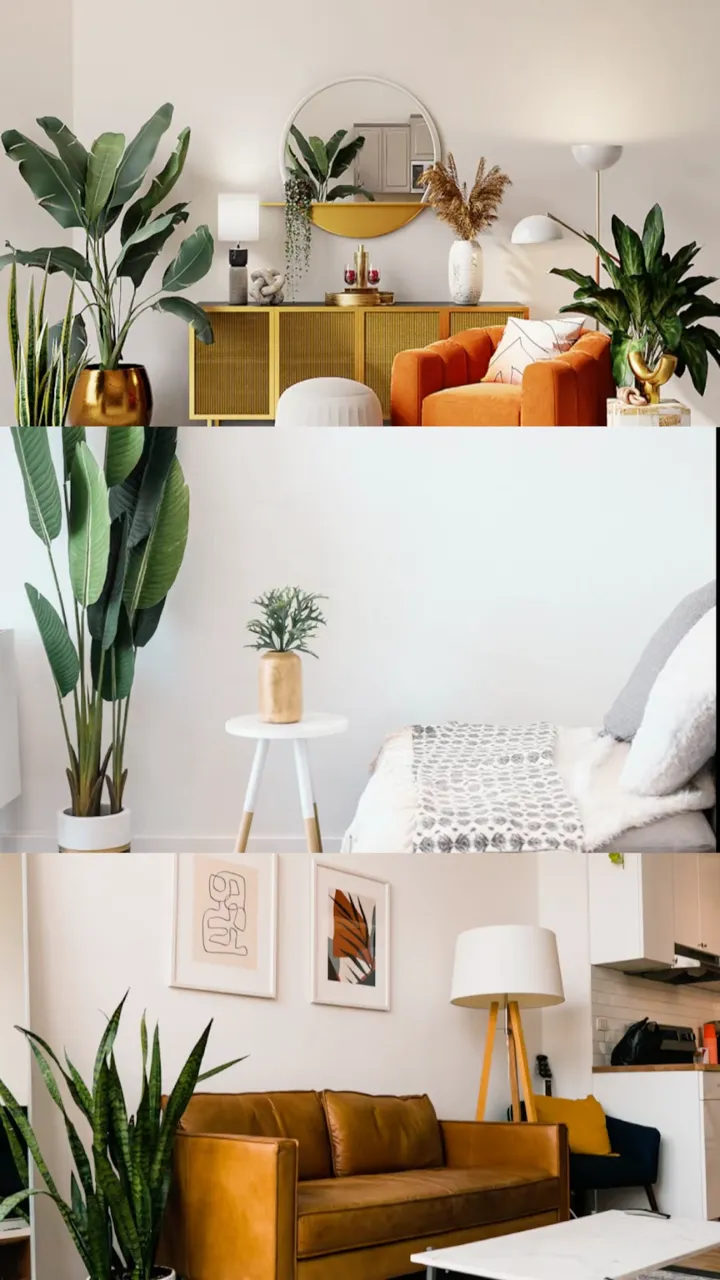 House Tour